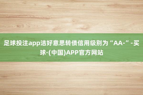 足球投注app洁好意思转债信用级别为“AA-”-买球·(中国)APP官方网站