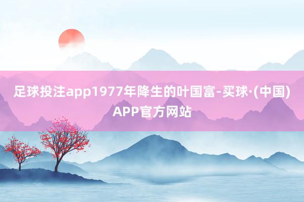 足球投注app1977年降生的叶国富-买球·(中国)APP官方网站