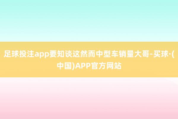 足球投注app要知谈这然而中型车销量大哥-买球·(中国)APP官方网站