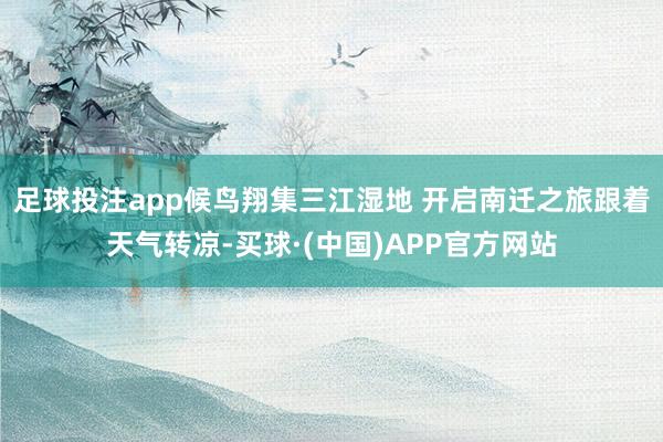 足球投注app候鸟翔集三江湿地 开启南迁之旅跟着天气转凉-买球·(中国)APP官方网站