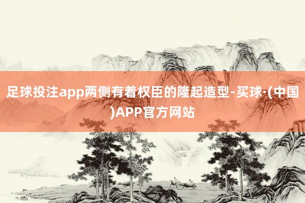 足球投注app两侧有着权臣的隆起造型-买球·(中国)APP官方网站