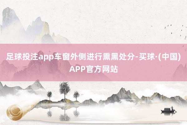 足球投注app车窗外侧进行熏黑处分-买球·(中国)APP官方网站