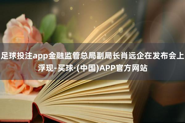 足球投注app金融监管总局副局长肖远企在发布会上浮现-买球·(中国)APP官方网站