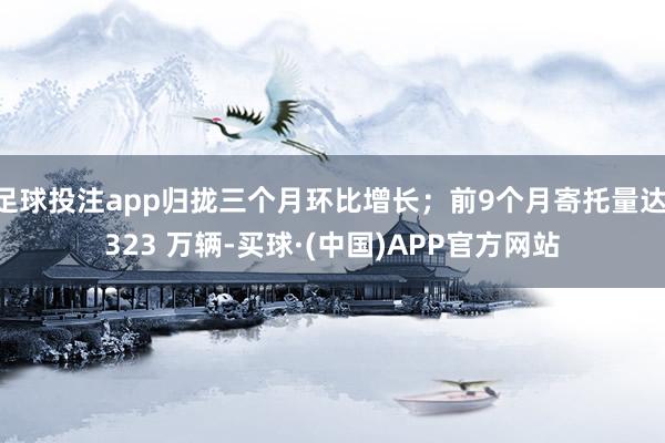 足球投注app归拢三个月环比增长；前9个月寄托量达 323 万辆-买球·(中国)APP官方网站