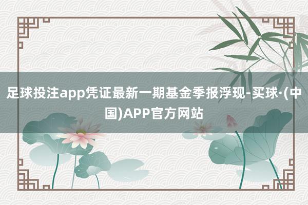 足球投注app凭证最新一期基金季报浮现-买球·(中国)APP官方网站