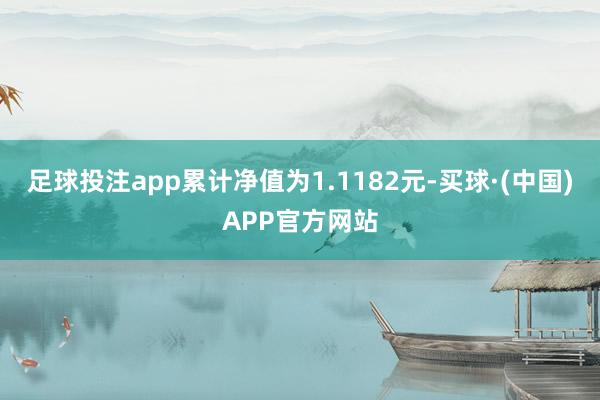 足球投注app累计净值为1.1182元-买球·(中国)APP官方网站