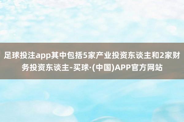 足球投注app其中包括5家产业投资东谈主和2家财务投资东谈主-买球·(中国)APP官方网站