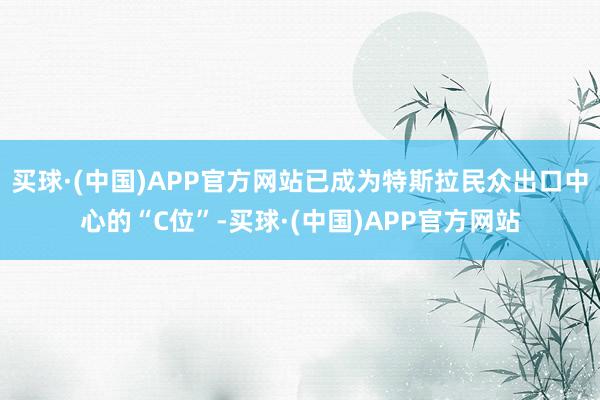 买球·(中国)APP官方网站已成为特斯拉民众出口中心的“C位”-买球·(中国)APP官方网站