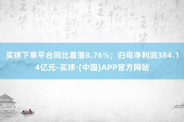 买球下单平台同比着落8.76%；归母净利润384.14亿元-买球·(中国)APP官方网站