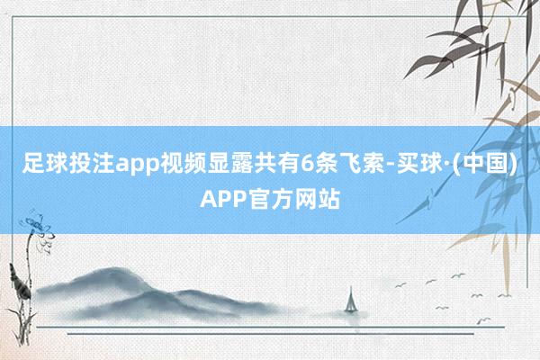 足球投注app视频显露共有6条飞索-买球·(中国)APP官方网站