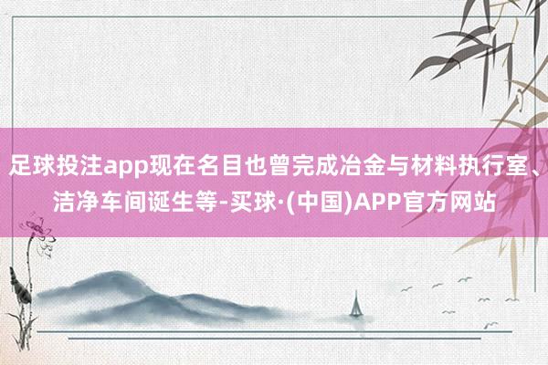 足球投注app现在名目也曾完成冶金与材料执行室、洁净车间诞生等-买球·(中国)APP官方网站