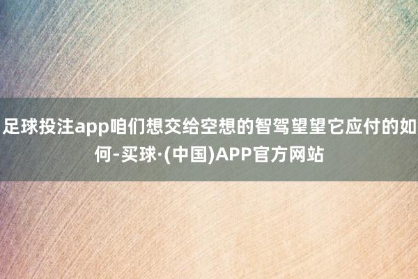 足球投注app咱们想交给空想的智驾望望它应付的如何-买球·(中国)APP官方网站