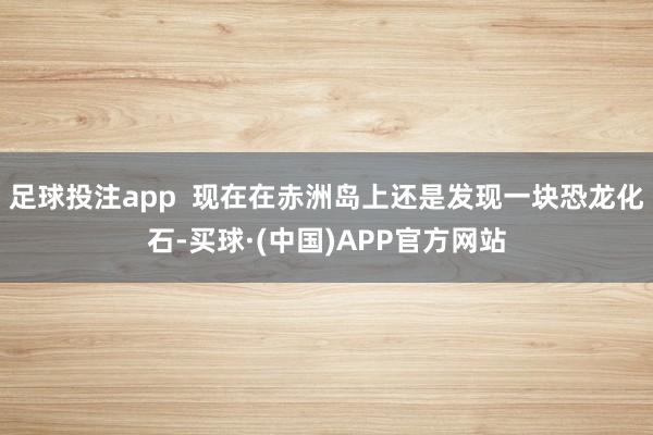 足球投注app  现在在赤洲岛上还是发现一块恐龙化石-买球·(中国)APP官方网站