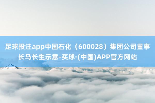 足球投注app中国石化（600028）集团公司董事长马长生示意-买球·(中国)APP官方网站