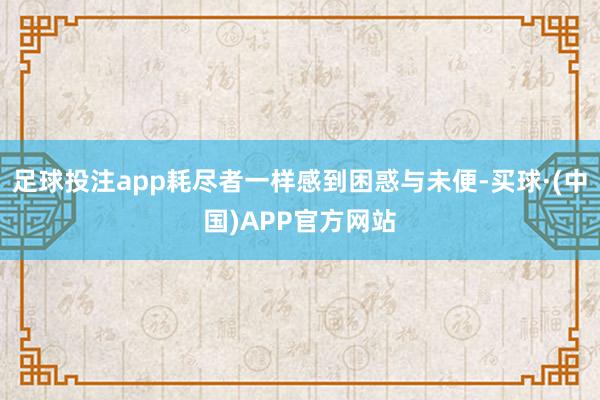 足球投注app耗尽者一样感到困惑与未便-买球·(中国)APP官方网站