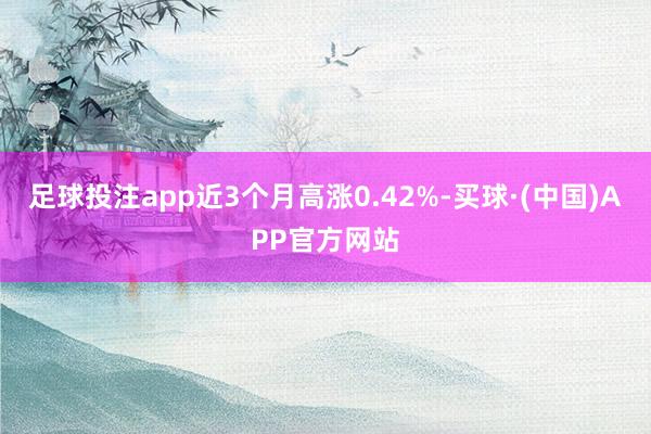 足球投注app近3个月高涨0.42%-买球·(中国)APP官方网站