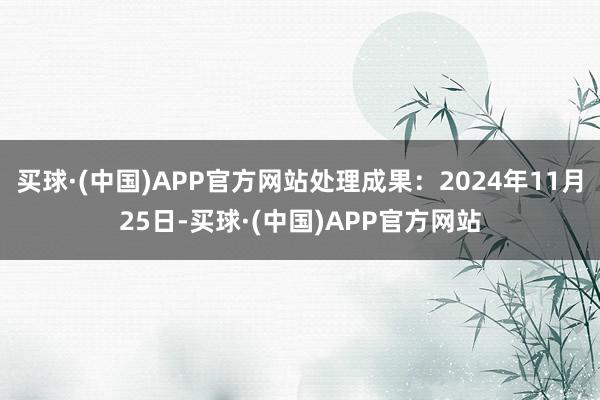 买球·(中国)APP官方网站处理成果：2024年11月25日-买球·(中国)APP官方网站