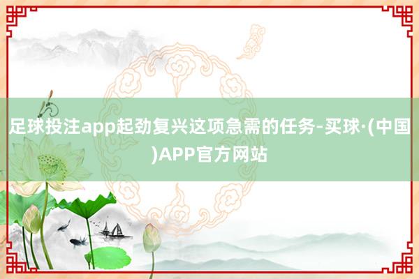 足球投注app起劲复兴这项急需的任务-买球·(中国)APP官方网站