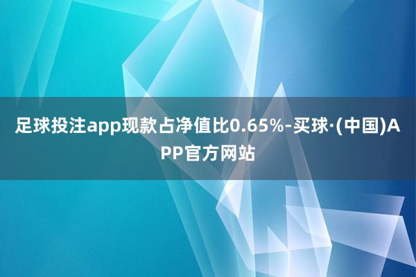 足球投注app现款占净值比0.65%-买球·(中国)APP官方网站