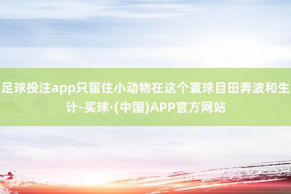 足球投注app只留住小动物在这个寰球目田奔波和生计-买球·(中国)APP官方网站