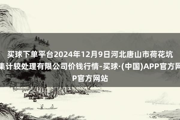 买球下单平台2024年12月9日河北唐山市荷花坑市集计较处理有限公司价钱行情-买球·(中国)APP官方网站