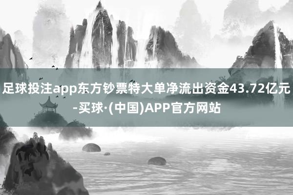 足球投注app东方钞票特大单净流出资金43.72亿元-买球·(中国)APP官方网站