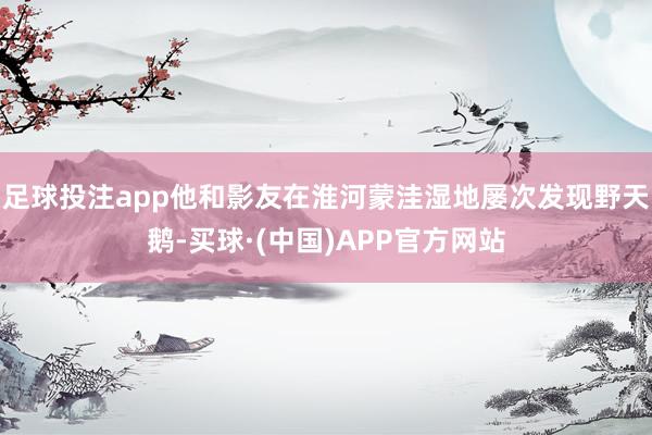 足球投注app他和影友在淮河蒙洼湿地屡次发现野天鹅-买球·(中国)APP官方网站