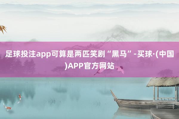 足球投注app可算是两匹笑剧“黑马”-买球·(中国)APP官方网站