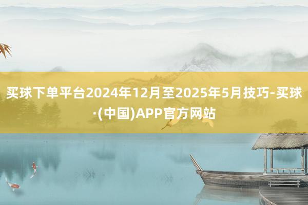 买球下单平台2024年12月至2025年5月技巧-买球·(中国)APP官方网站