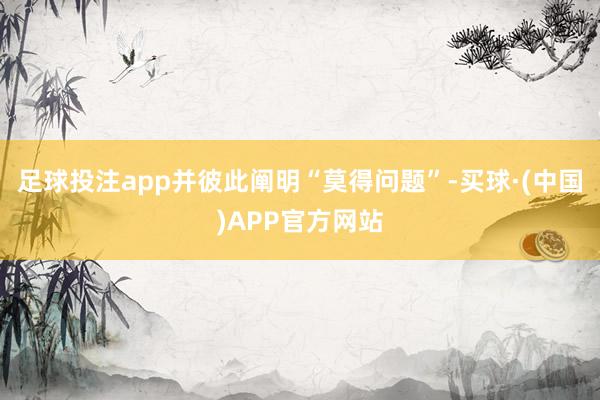 足球投注app并彼此阐明“莫得问题”-买球·(中国)APP官方网站