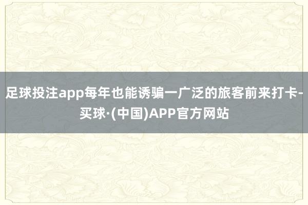 足球投注app每年也能诱骗一广泛的旅客前来打卡-买球·(中国)APP官方网站