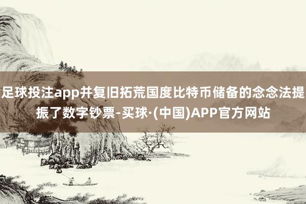 足球投注app并复旧拓荒国度比特币储备的念念法提振了数字钞票-买球·(中国)APP官方网站