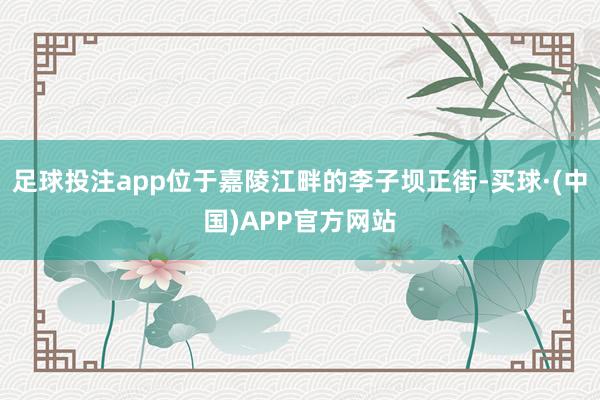 足球投注app位于嘉陵江畔的李子坝正街-买球·(中国)APP官方网站