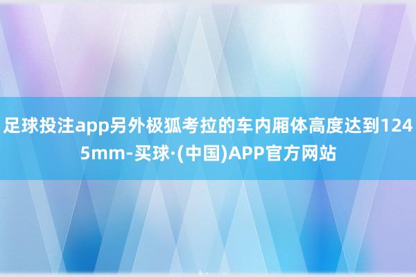 足球投注app另外极狐考拉的车内厢体高度达到1245mm-买球·(中国)APP官方网站