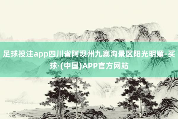 足球投注app四川省阿坝州九寨沟景区阳光明媚-买球·(中国)APP官方网站