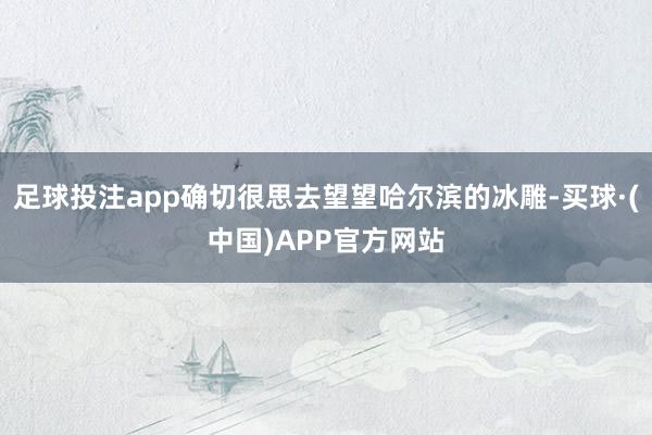 足球投注app确切很思去望望哈尔滨的冰雕-买球·(中国)APP官方网站