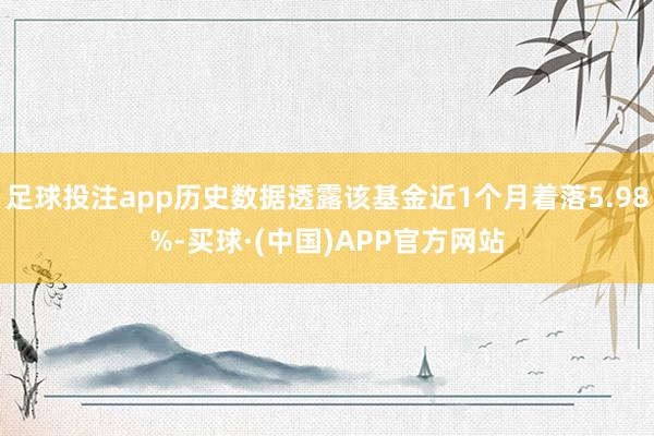 足球投注app历史数据透露该基金近1个月着落5.98%-买球·(中国)APP官方网站