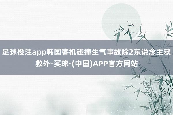 足球投注app韩国客机碰撞生气事故除2东说念主获救外-买球·(中国)APP官方网站