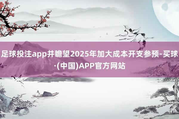 足球投注app并瞻望2025年加大成本开支参预-买球·(中国)APP官方网站