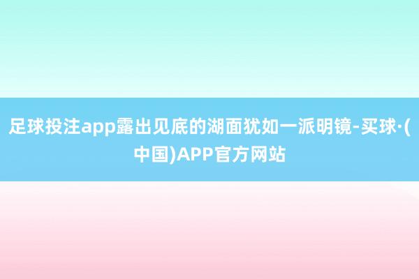 足球投注app露出见底的湖面犹如一派明镜-买球·(中国)APP官方网站