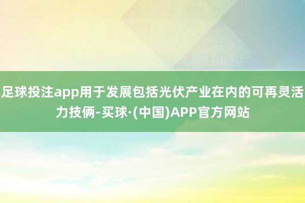 足球投注app用于发展包括光伏产业在内的可再灵活力技俩-买球·(中国)APP官方网站