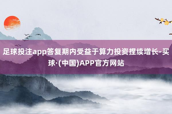 足球投注app答复期内受益于算力投资捏续增长-买球·(中国)APP官方网站