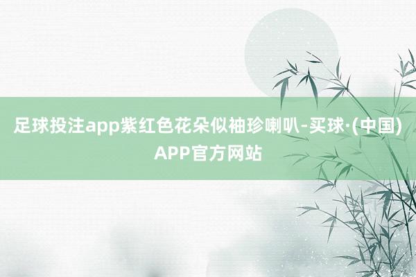 足球投注app紫红色花朵似袖珍喇叭-买球·(中国)APP官方网站