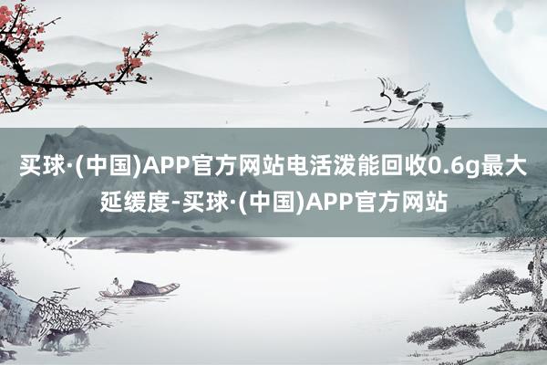 买球·(中国)APP官方网站电活泼能回收0.6g最大延缓度-买球·(中国)APP官方网站