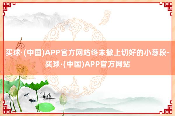 买球·(中国)APP官方网站终末撒上切好的小葱段-买球·(中国)APP官方网站