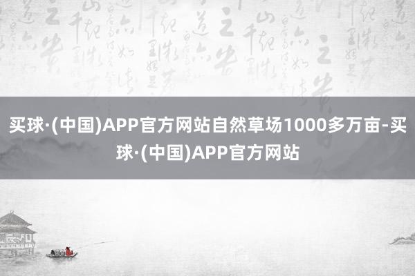 买球·(中国)APP官方网站自然草场1000多万亩-买球·(中国)APP官方网站