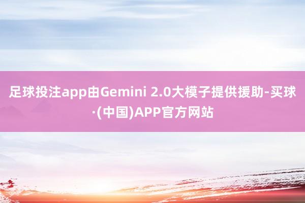 足球投注app由Gemini 2.0大模子提供援助-买球·(中国)APP官方网站