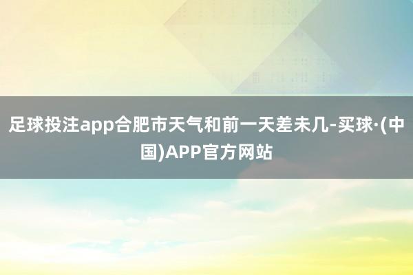 足球投注app合肥市天气和前一天差未几-买球·(中国)APP官方网站